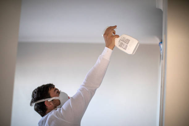 Best Bathroom Mold Remediation in Mountain Road, VA