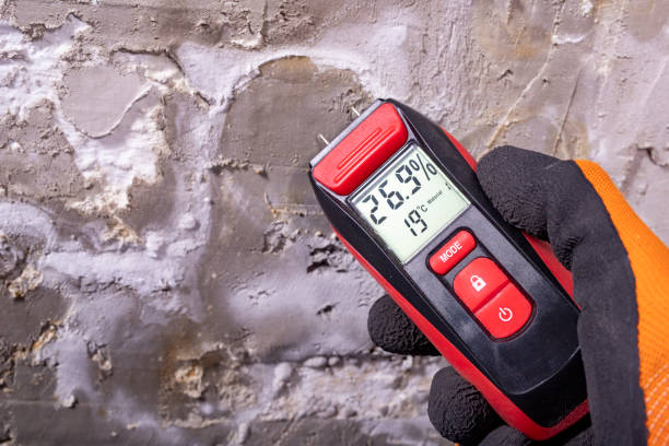 Trusted Mountain Road, VA Mold Remediation Experts