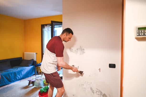 Best Attic Mold Remediation in Mountain Road, VA